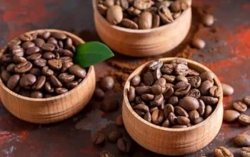 Kopi Liberika Riau, Warisan Rasa Nusantara dari Lahan Gambut