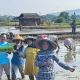 YBBN Wujudkan Ketahanan Pangan Nasional Lewat Penanaman Padi Unggul PS-08 di Carita