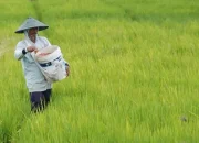 Idonesia Diakui Dunia, Kini Jadi Pusat Inovasi Pertanian Global