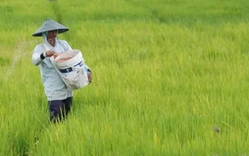 Idonesia Diakui Dunia, Kini Jadi Pusat Inovasi Pertanian Global