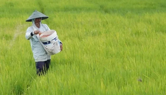 Idonesia Diakui Dunia, Kini Jadi Pusat Inovasi Pertanian Global