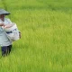 Idonesia Diakui Dunia, Kini Jadi Pusat Inovasi Pertanian Global