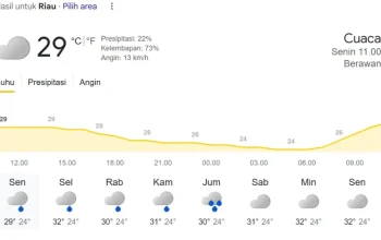 BMKG Pekanbaru: Waspada Hujan Petir dan Angin Kencang Sore Ini
