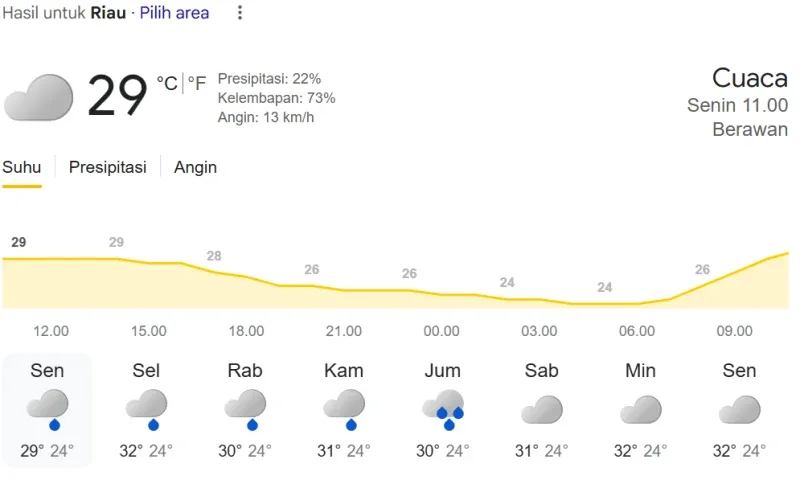 BMKG Pekanbaru: Waspada Hujan Petir dan Angin Kencang Sore Ini