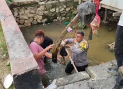 Semangat Gotong Royong Warnai Aksi Bhabinkamtibmas Tapung Hulu Cegah Banjir di Musim Hujan