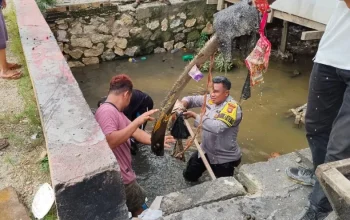 Semangat Gotong Royong Warnai Aksi Bhabinkamtibmas Tapung Hulu Cegah Banjir di Musim Hujan
