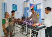 Aksi Heroik Petani Inhu Selamat dari Serangan Tiga Harimau Sumatera