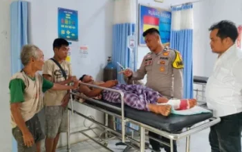 Aksi Heroik Petani Inhu Selamat dari Serangan Tiga Harimau Sumatera