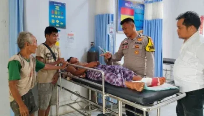 Aksi Heroik Petani Inhu Selamat dari Serangan Tiga Harimau Sumatera