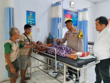 Aksi Heroik Petani Inhu Selamat dari Serangan Tiga Harimau Sumatera