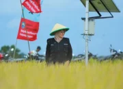 Teknologi Digital Ubah Wajah Pertanian Siak, Bupati Afni: Petani Makin Sejahtera!