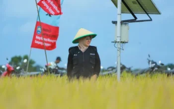 Teknologi Digital Ubah Wajah Pertanian Siak, Bupati Afni: Petani Makin Sejahtera!