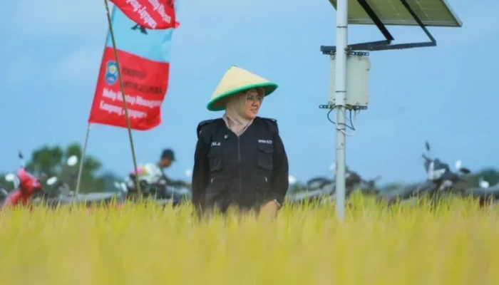 Teknologi Digital Ubah Wajah Pertanian Siak,Teknologi Digital Ubah Wajah: Petani Makin Sejahtera!