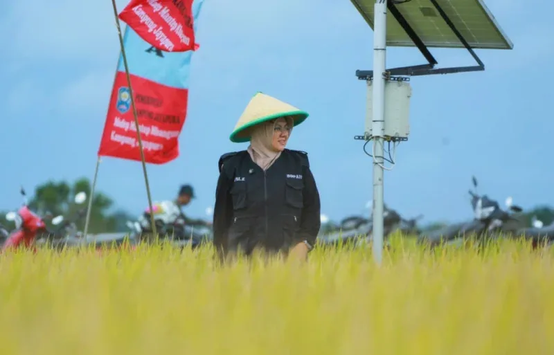 Teknologi Digital Ubah Wajah Pertanian Siak, Bupati Afni: Petani Makin Sejahtera!