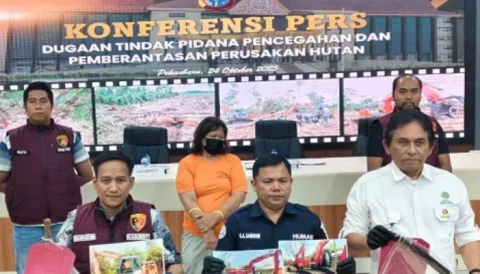 IRT di Riau Ditangkap Usai Garap 13 Hektare Kawasan Konservasi Giam Siak Kecil