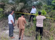 Mayat Bayi Ditemukan di Tambang Kampar, Polisi Selidiki Dugaan Pembuangan oleh Orang Tua