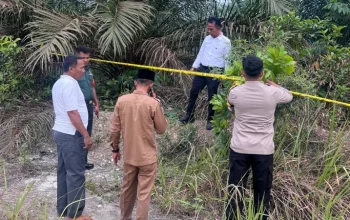 Mayat Bayi Ditemukan di Tambang Kampar, Polisi Selidiki Dugaan Pembuangan oleh Orang Tua