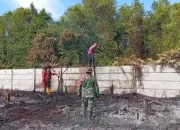 Kebakaran Lahan di Kampar Nyaris Dekati Permukiman, Tim Gabungan Berjuang Lawan Api Gambut