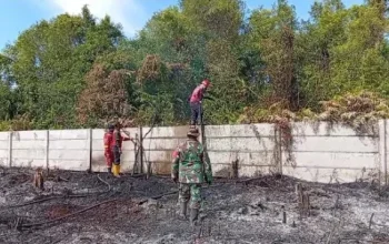 Kebakaran Lahan di Kampar Nyaris Dekati Permukiman, Tim Gabungan Berjuang Lawan Api Gambut