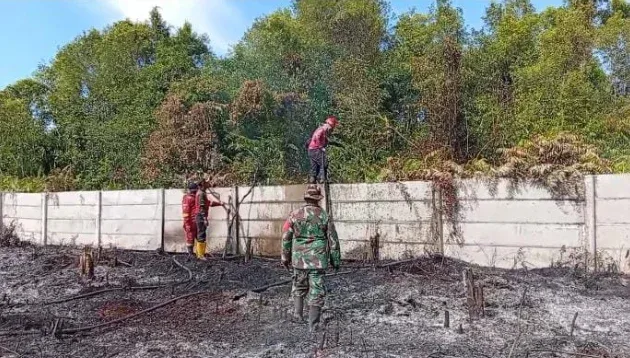 Kebakaran Lahan di Kampar Nyaris Dekati Permukiman, Tim Gabungan Berjuang Lawan Api Gambut