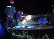 Buaya Makin Dekat Permukiman