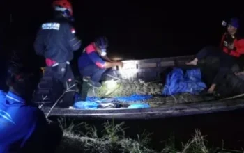 Buaya Makin Dekat Permukiman