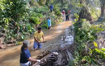 Cegah Banjir dan DBD, Polsek Kampar Gelar Aksi Bersih Lingkungan di Penyasawan