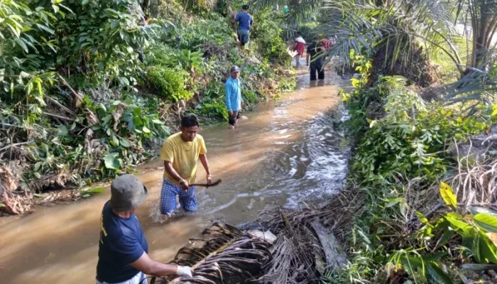 Cegah Banjir dan DBD, Kampar Gelar Aksi Bersih Lingkungan di Penyasawan