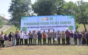STIE Bangkinang Hijau: Gerakan Tanam Pohon Gaungkan Kampus Peduli Lingkungan