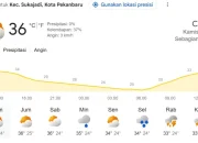 Cuaca Panas Ekstrem Melanda Riau, BMKG Imbau Warga Waspadai Kekeringan dan Potensi Karhutla