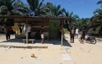 Gajah Liar Serang Rumah Warga di Rumbai, Anak 8 Tahun Alami Luka Serius