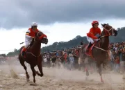 Pacu Kuda Pabasko, Nafas Panjang Tradisi Minang