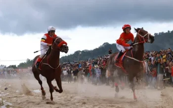 Pacu Kuda Pabasko, Nafas Panjang Tradisi Minang