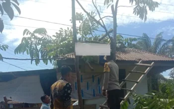 Petik Matoa Berujung Maut, Pria di XIII Koto Kampar Kesetrum