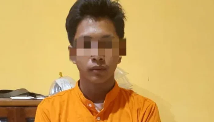 Polsek Tapung Hilir Tangkap Pemuda Pembawa 11 Paket Ganja Siap Edar