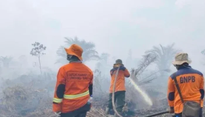 Karhutla Masih Kepung Riau, Tujuh Daerah Dilanda Asap dan Api Tak Kunjung Padam