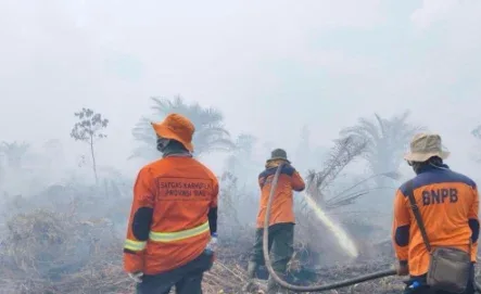 Karhutla Masih Kepung Riau, Tujuh Daerah Dilanda Asap dan Api Tak Kunjung Padam