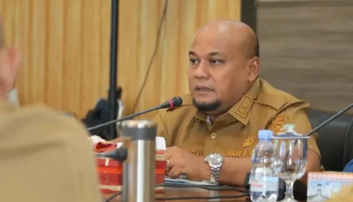 Kampung Jayapura Dinobatkan Jadi Desa Cantik Terbaik Riau 2025