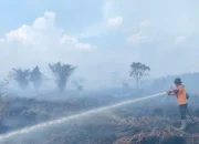 Karhutla di Riau Kian Terkendali, Tinggal Tiga Daerah Lakukan Pemadaman