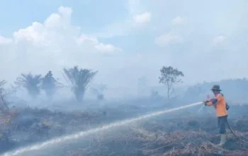 Karhutla di Riau Kian Terkendali, Tinggal Tiga Daerah Lakukan Pemadaman