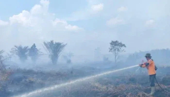 Karhutla di Riau Kian Terkendali, Tinggal Tiga Daerah Lakukan Pemadaman