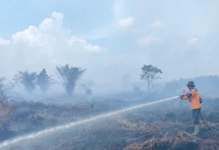 Karhutla di Riau Kian Terkendali, Tinggal Tiga Daerah Lakukan Pemadaman