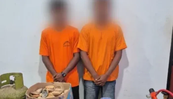 Tambang Emas Ilegal di Kuansing Digerebek, Dua Pelaku Ditangkap Polda Riau