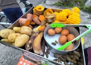 Rebuskus Bengkalis, Tren Sarapan Tradisional Sehat yang Kini Jadi Gaya Hidup Baru