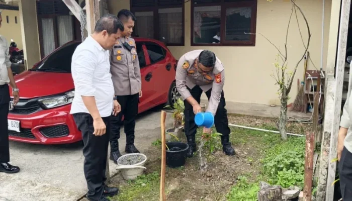 Hari Pohon Nasional, Gerakan Menanam Pohon di Kampar Bagian Kepedulian Lingkungan