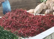 Harga Sembako di Meranti Mulai Turun, Cabai Rawit Justru Naik Tipis