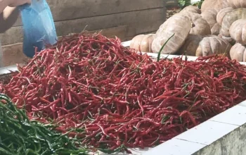 Harga Sembako di Meranti Mulai Turun, Cabai Rawit Justru Naik Tipis