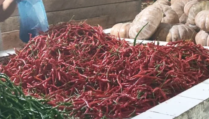 Harga Sembako di Meranti Mulai Turun, Cabai Rawit Justru Naik Tipis