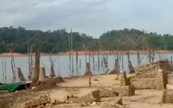 Permukaan Waduk Koto Panjang Menyusut Ekstrem, Puing Kampung Lama Bermunculan