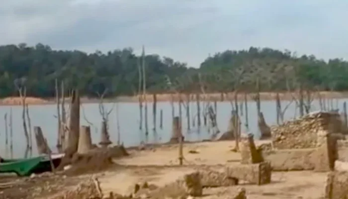 Permukaan Waduk Koto Panjang Menyusut Ekstrem, Puing Kampung Lama Bermunculan